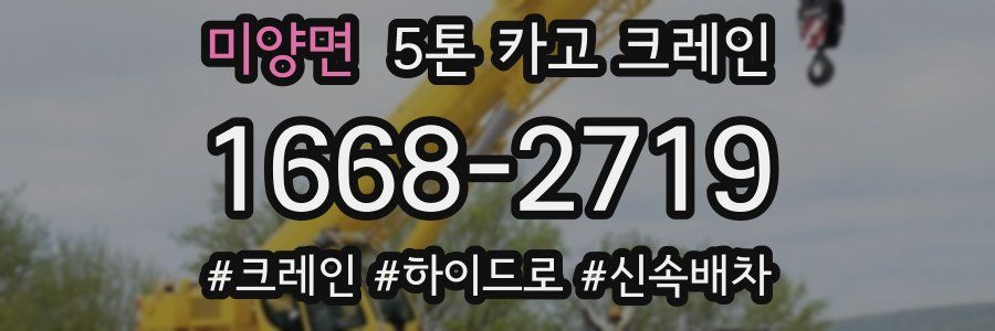 미양면 5톤 카고 크레인