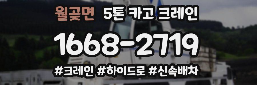 월곶면 5톤 카고 크레인