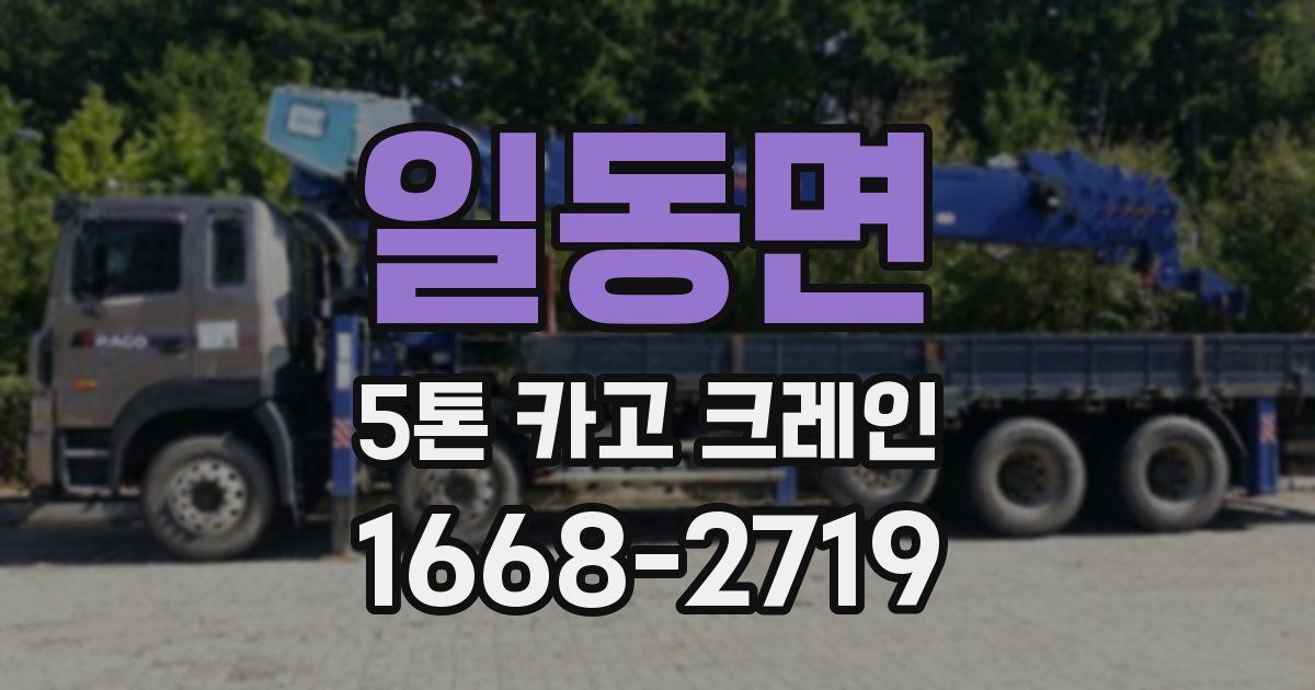 일동면 5톤 카고 크레인
