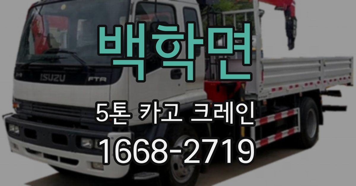 백학면 5톤 카고 크레인