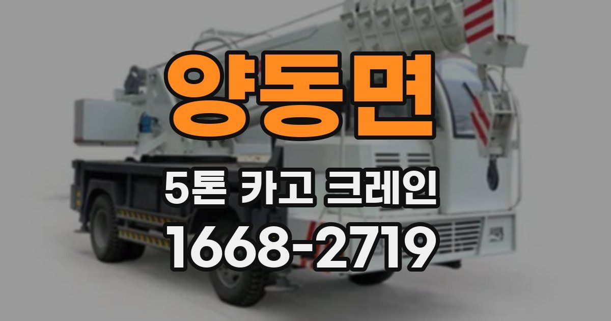 양동면 5톤 카고 크레인