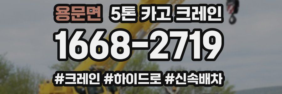 용문면 5톤 카고 크레인