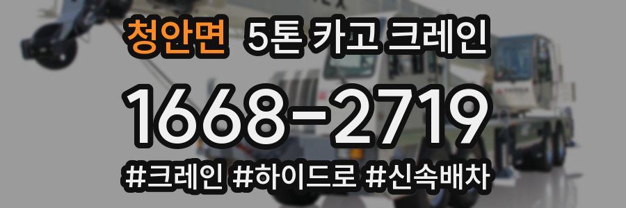 청안면 5톤 카고 크레인