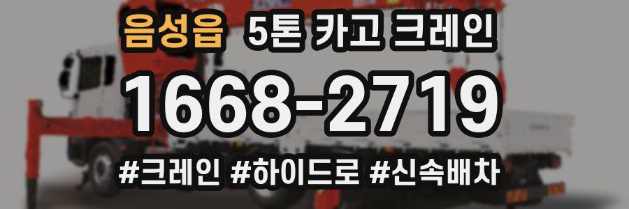 음성읍 5톤 카고 크레인