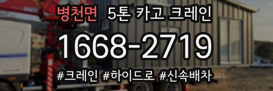 병천면 5톤 카고 크레인