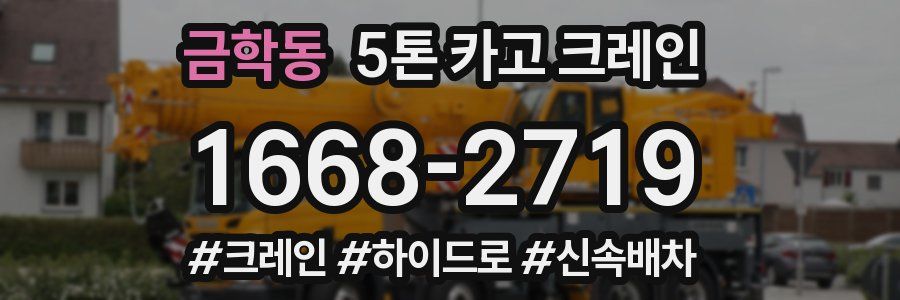 금학동 5톤 카고 크레인