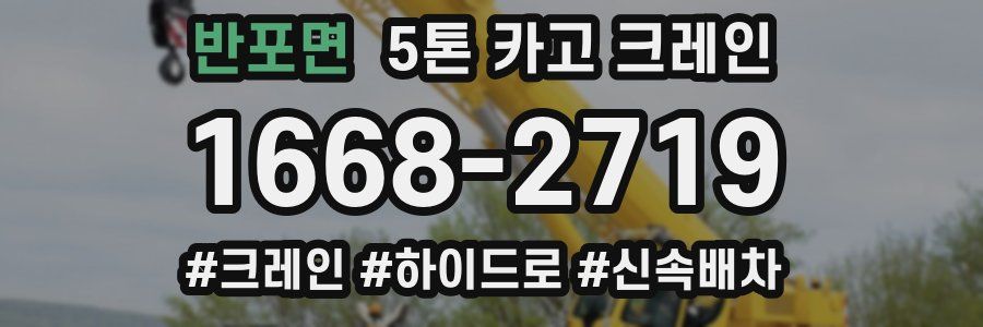 반포면 5톤 카고 크레인