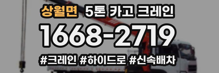 상월면 5톤 카고 크레인