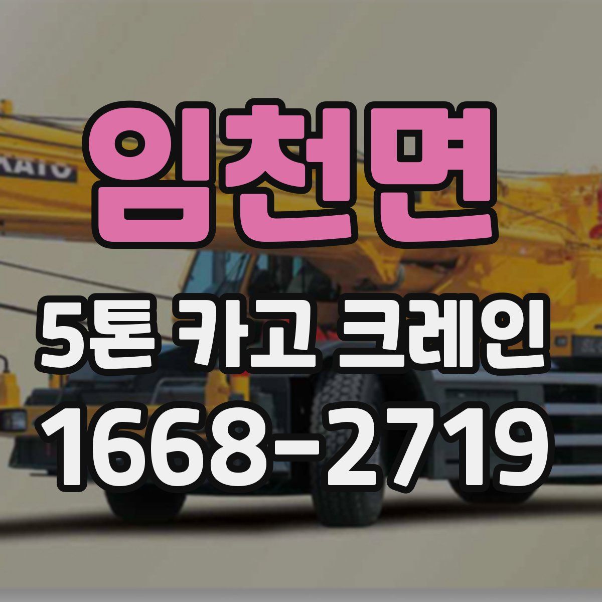임천면 5톤 카고 크레인