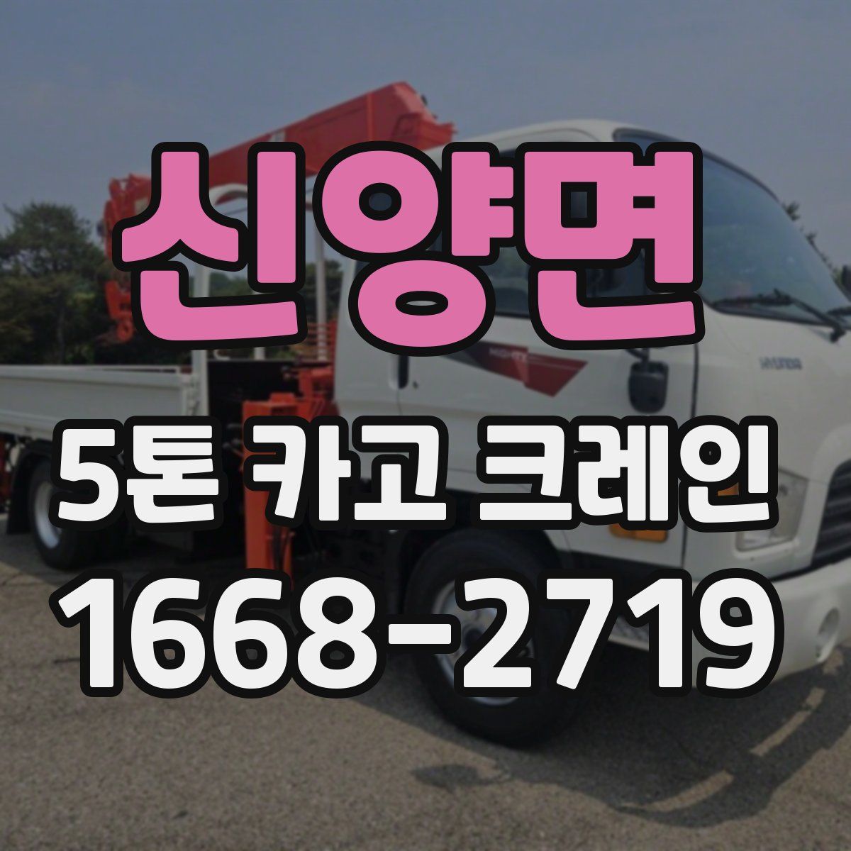 신양면 5톤 카고 크레인