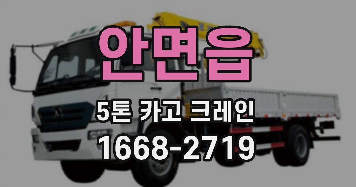 안면읍 5톤 카고 크레인