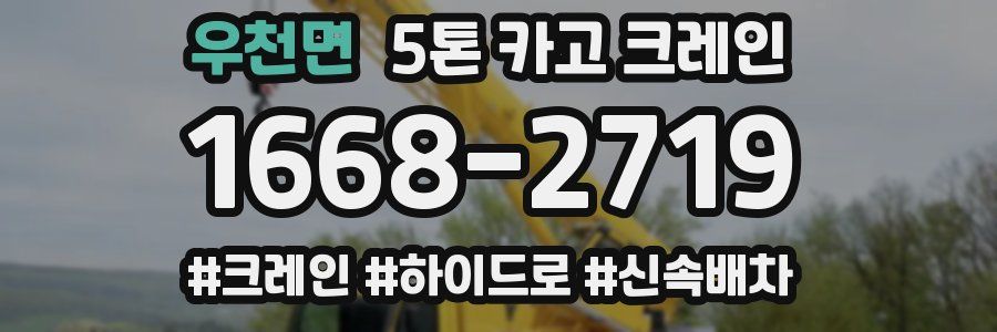 우천면 5톤 카고 크레인