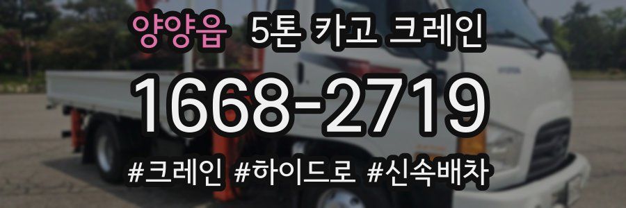양양읍 5톤 카고 크레인