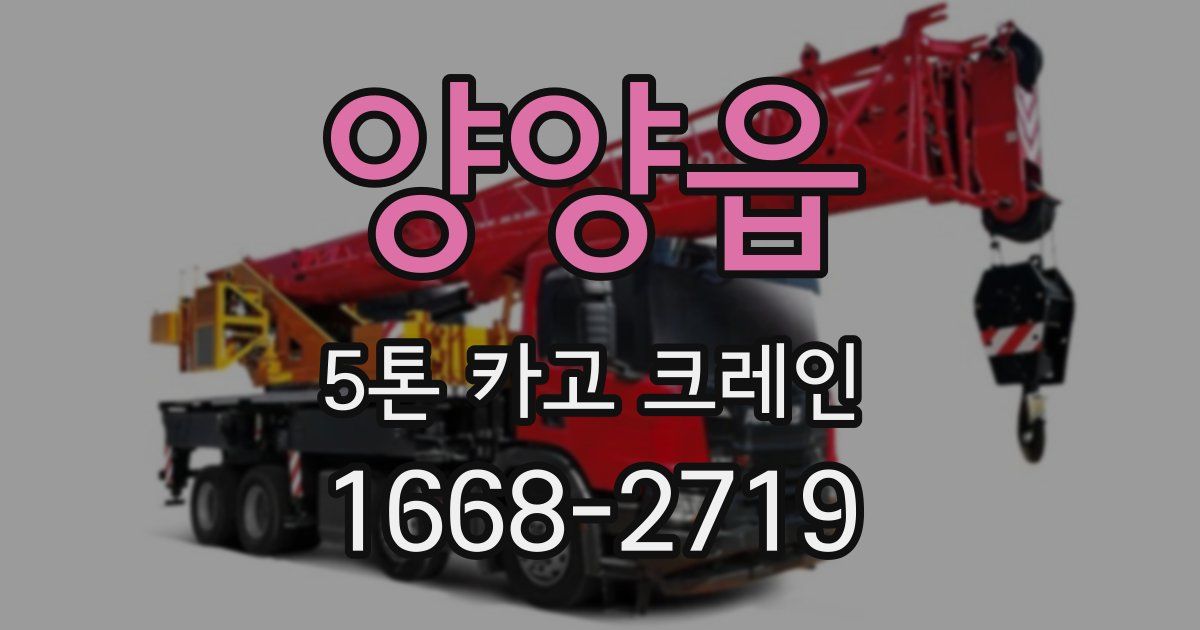 양양읍 5톤 카고 크레인