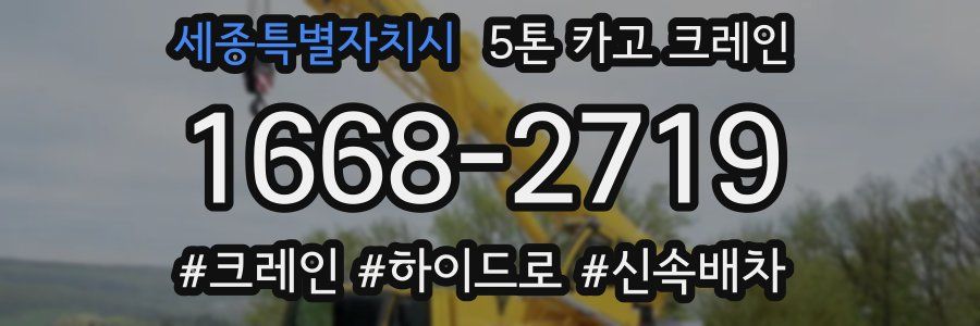 세종특별자치시 5톤 카고 크레인