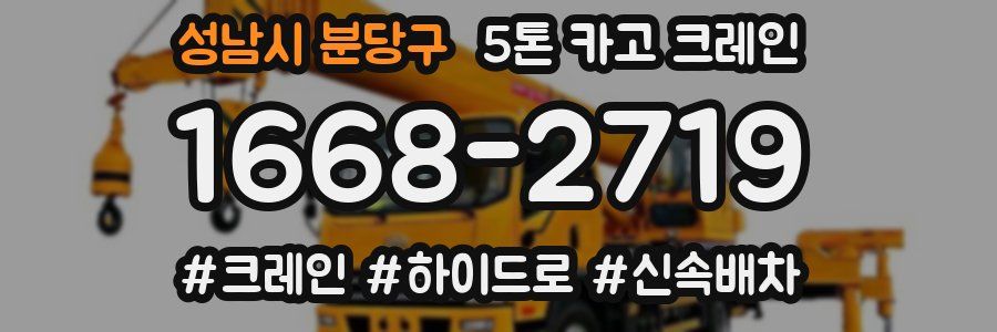 성남시 분당구 5톤 카고 크레인