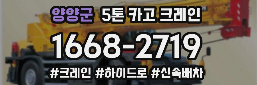양양군 5톤 카고 크레인
