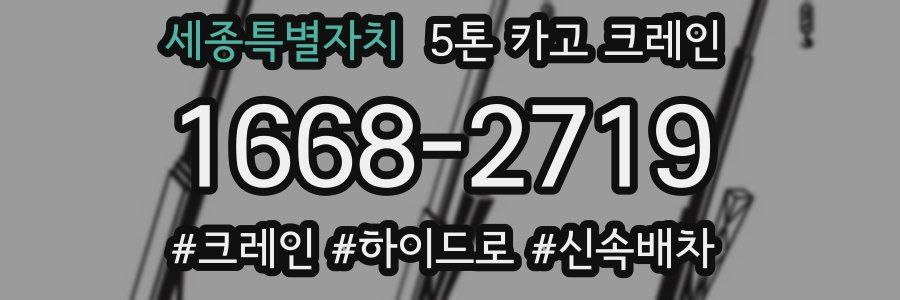 세종특별자치 5톤 카고 크레인