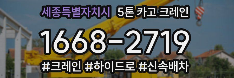 세종특별자치시 5톤 카고 크레인