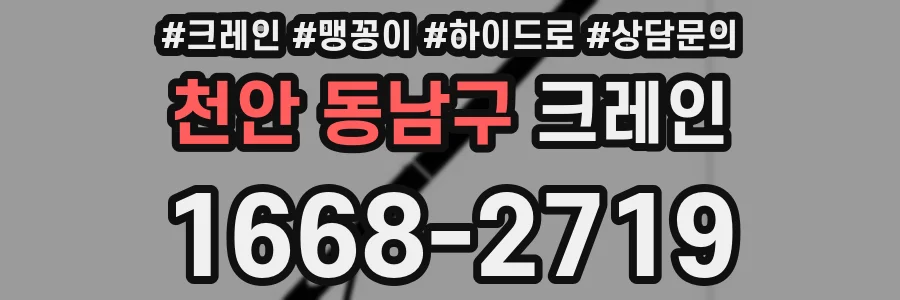 천안 동남구 크레인
