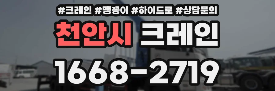 천안시 크레인