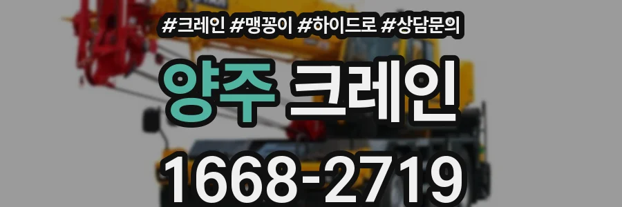 양주 크레인