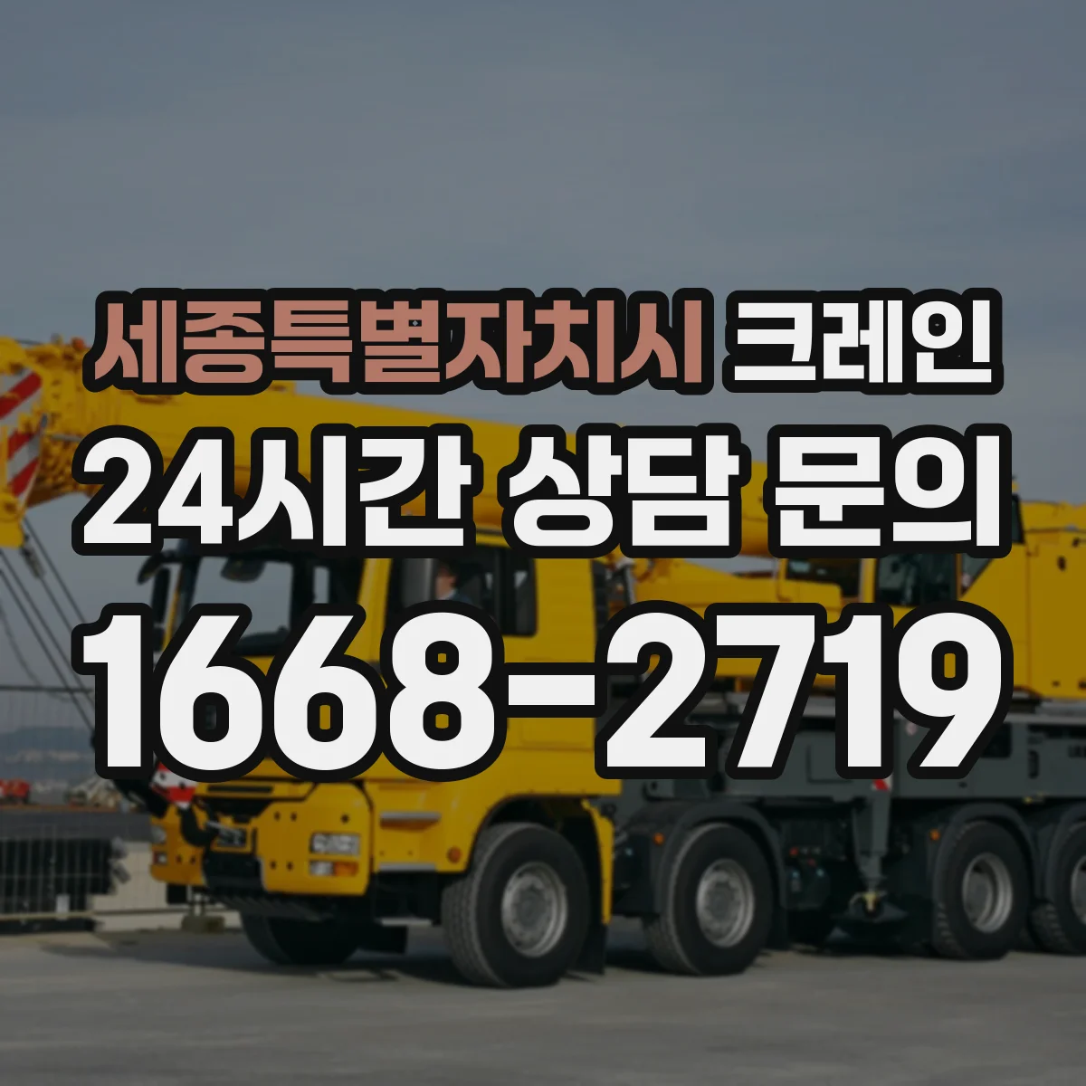 세종특별자치시 크레인