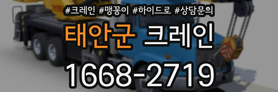 태안군 크레인