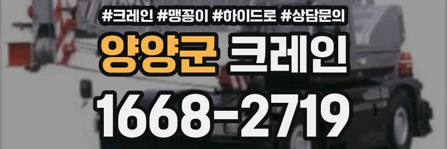양양군 크레인