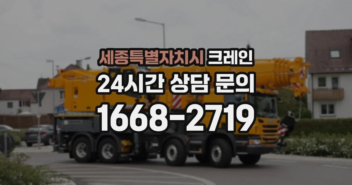 세종특별자치시 크레인
