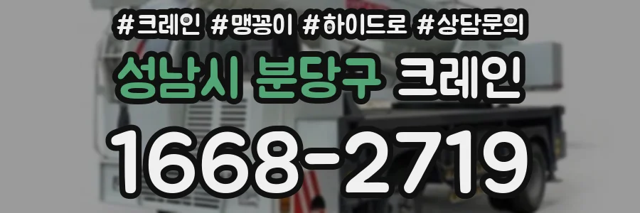 성남시 분당구 크레인