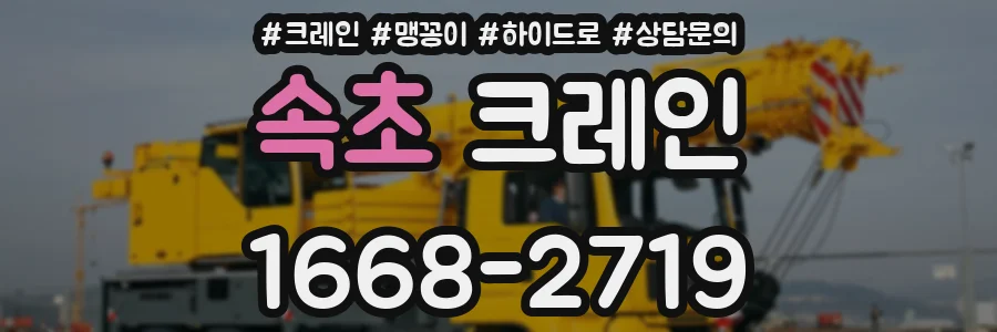 속초 크레인