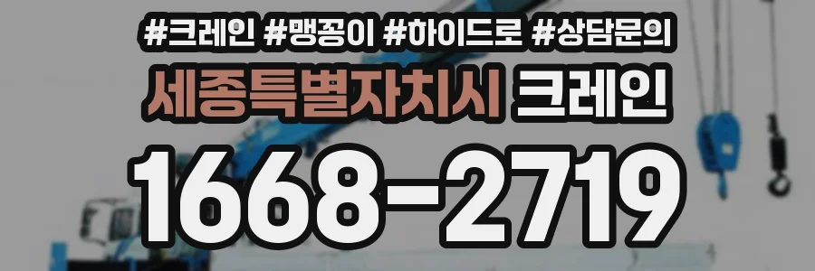 세종특별자치시 크레인