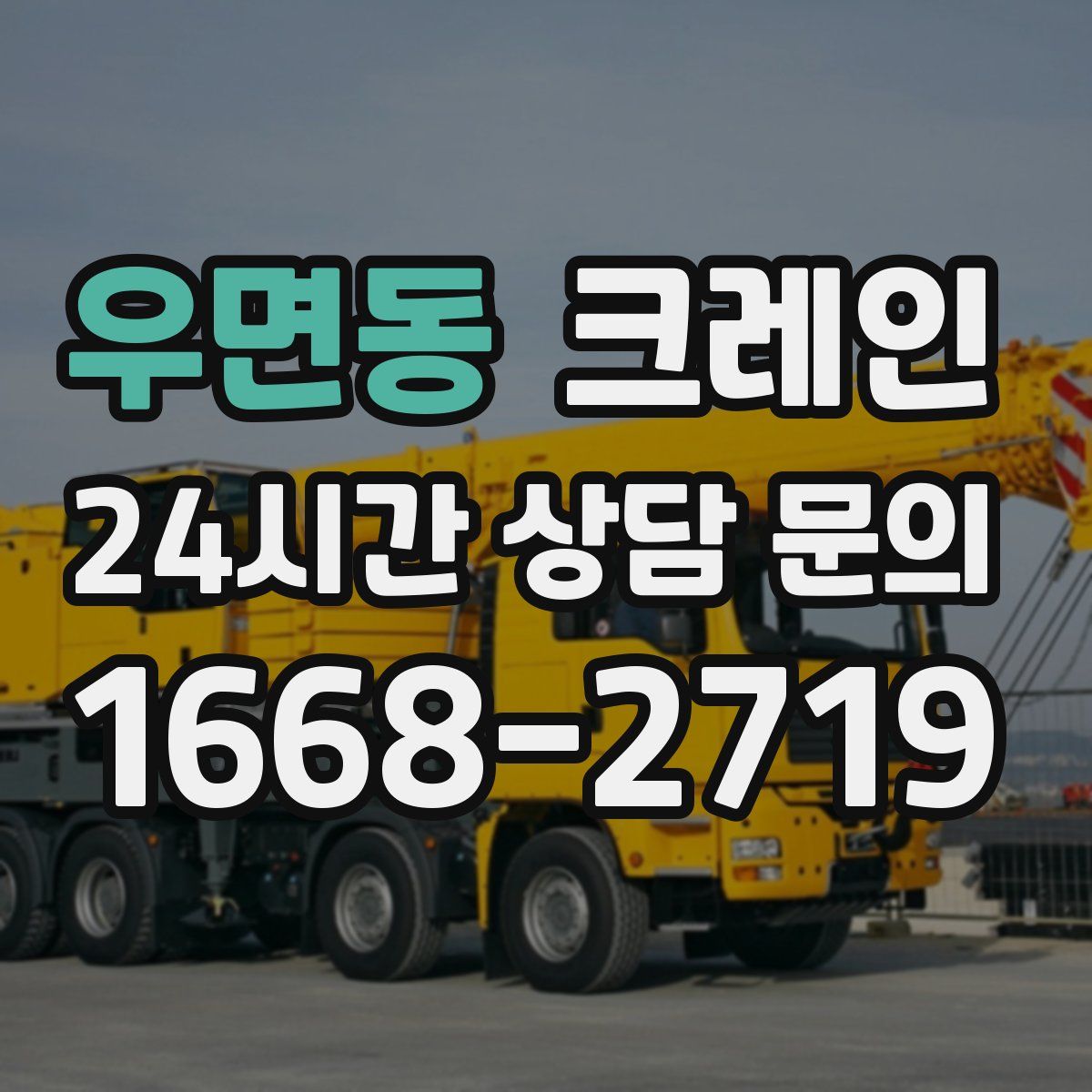 우면동 카고 크레인