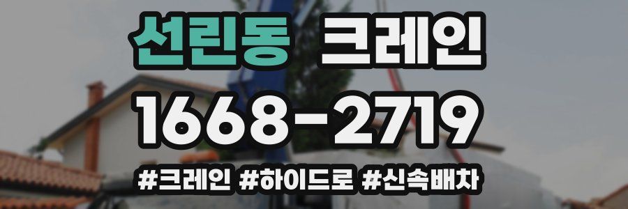 선린동 크레인 작업