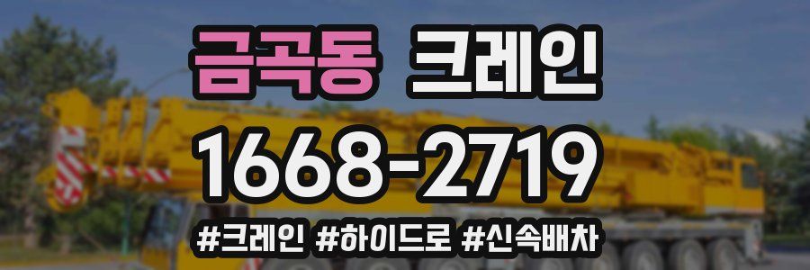 금곡동 크레인 작업