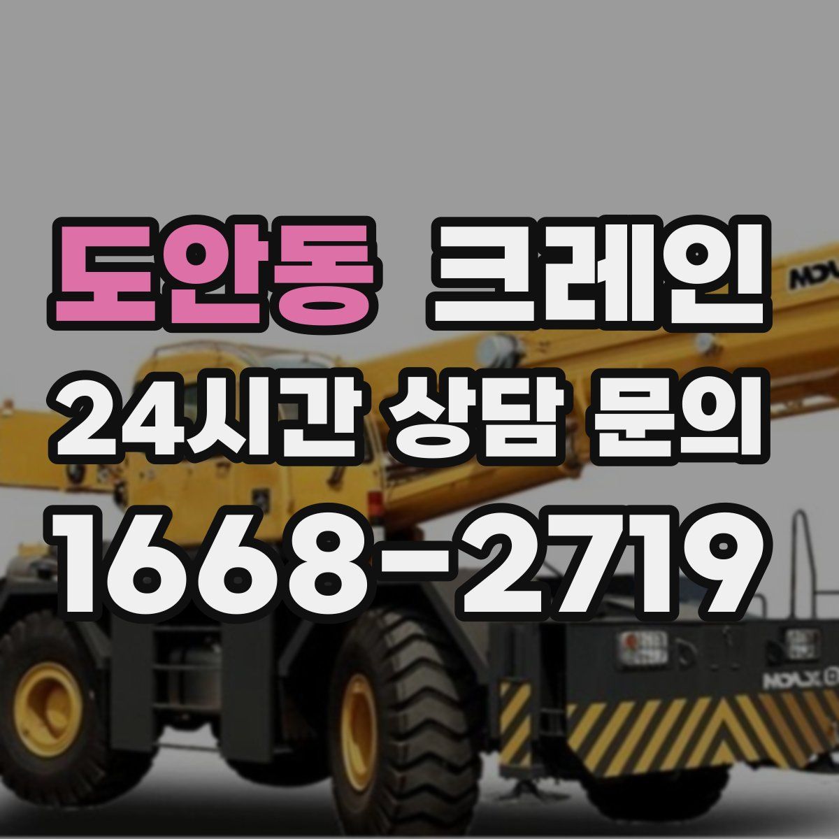 도안동 카고 크레인