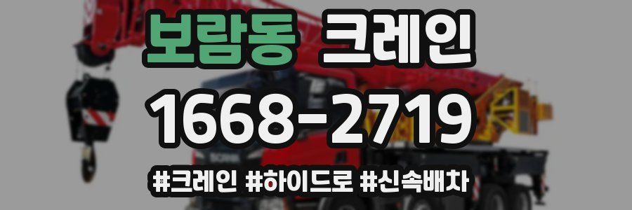 보람동 크레인 작업