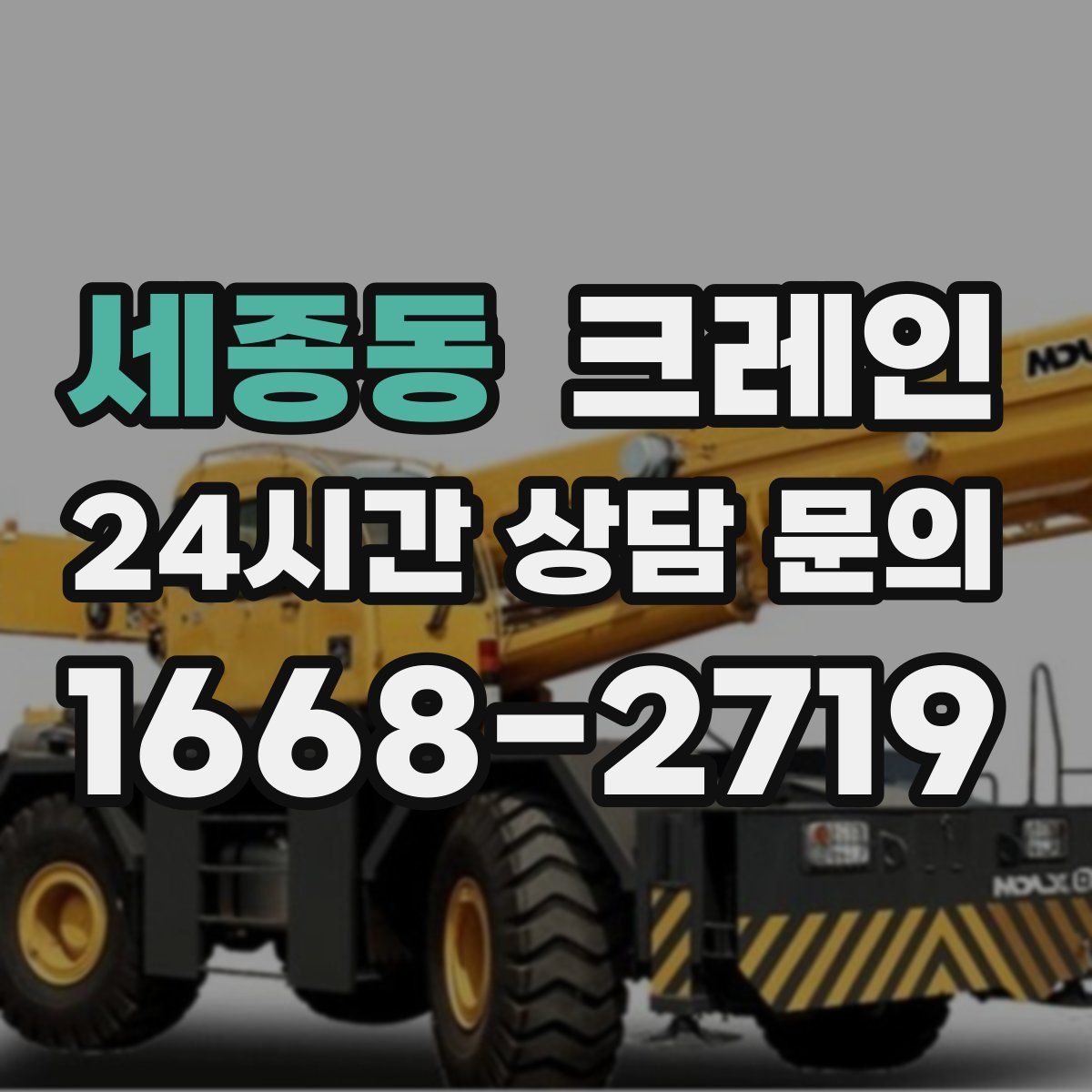세종동 카고 크레인