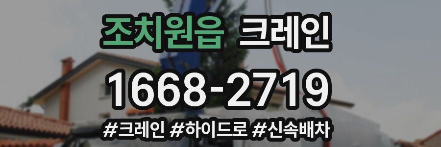 조치원읍 크레인 작업