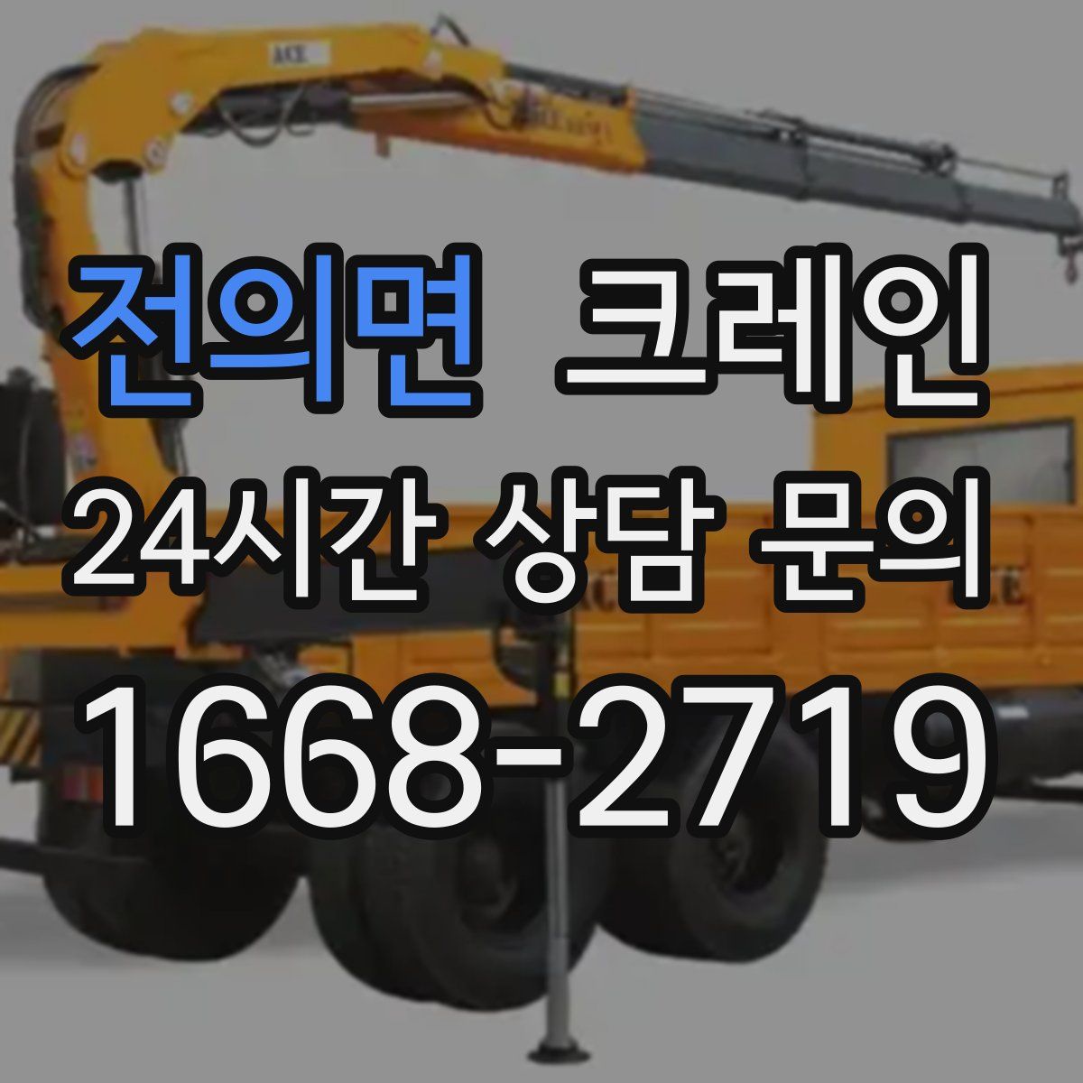 전의면 카고 크레인