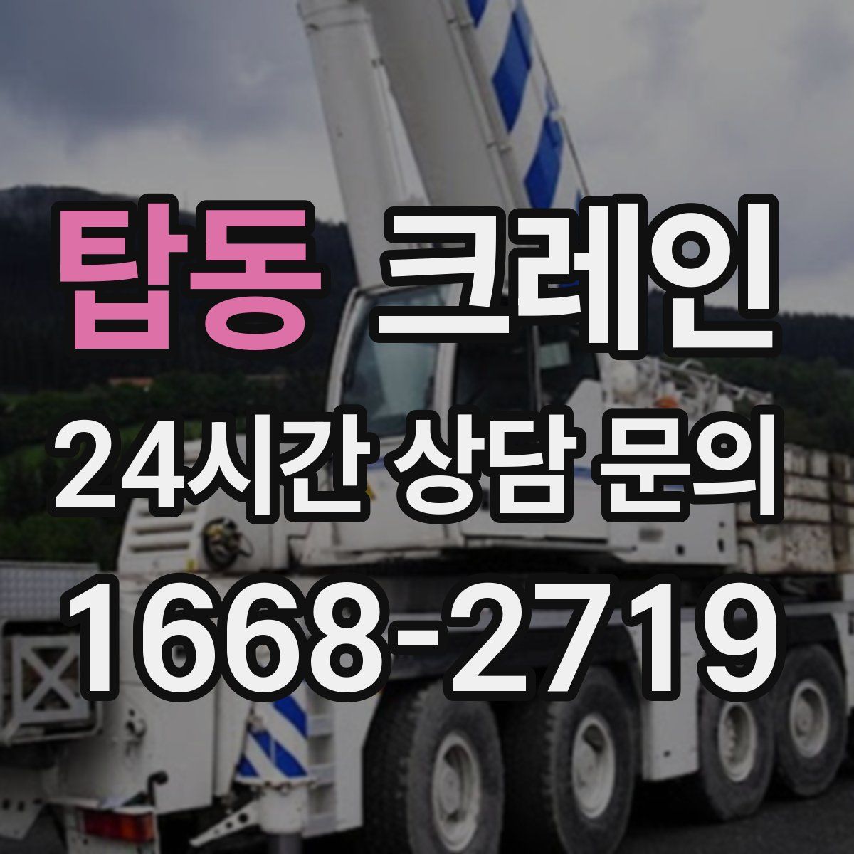 탑동 카고 크레인