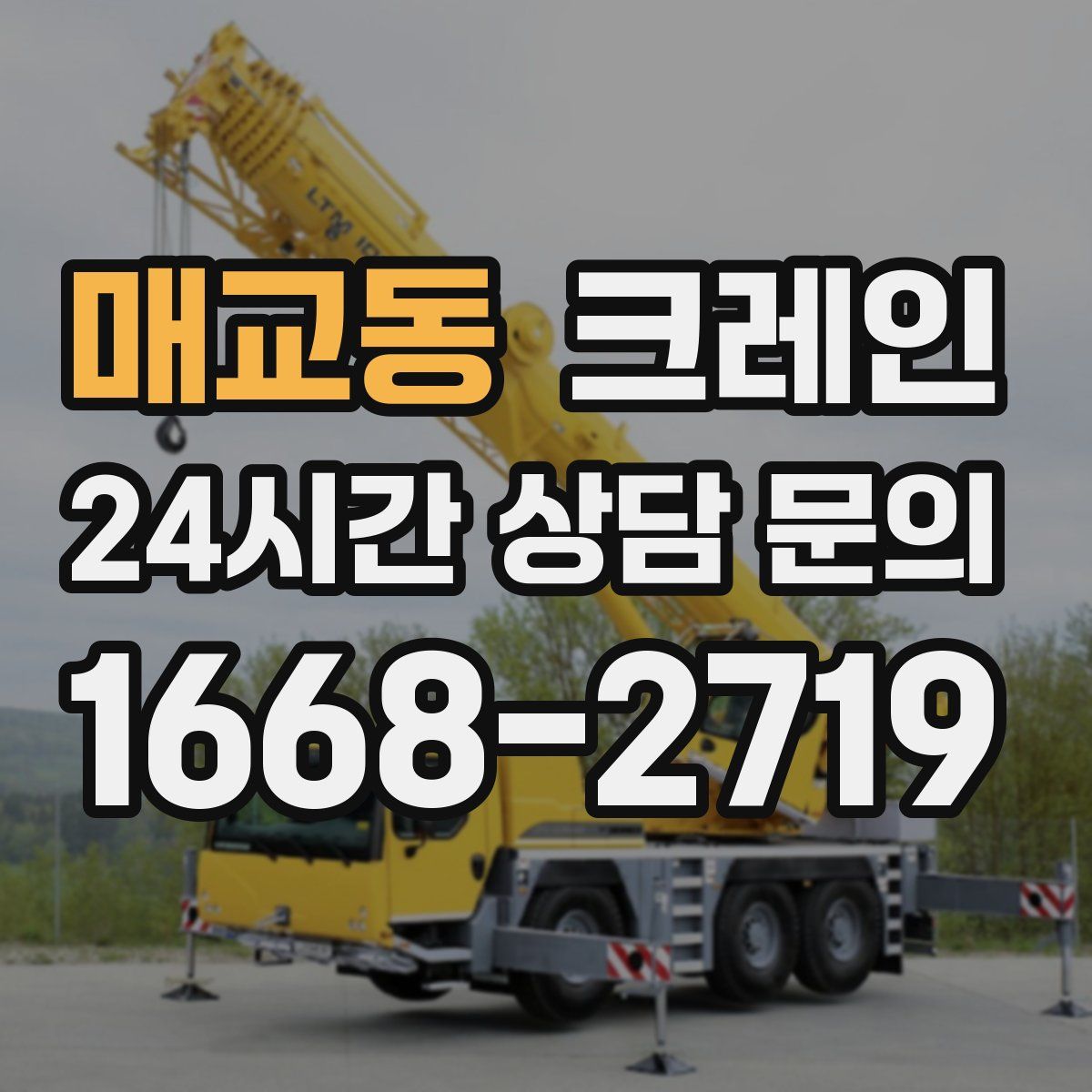 매교동 카고 크레인