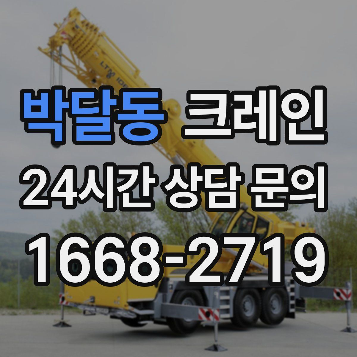 박달동 카고 크레인