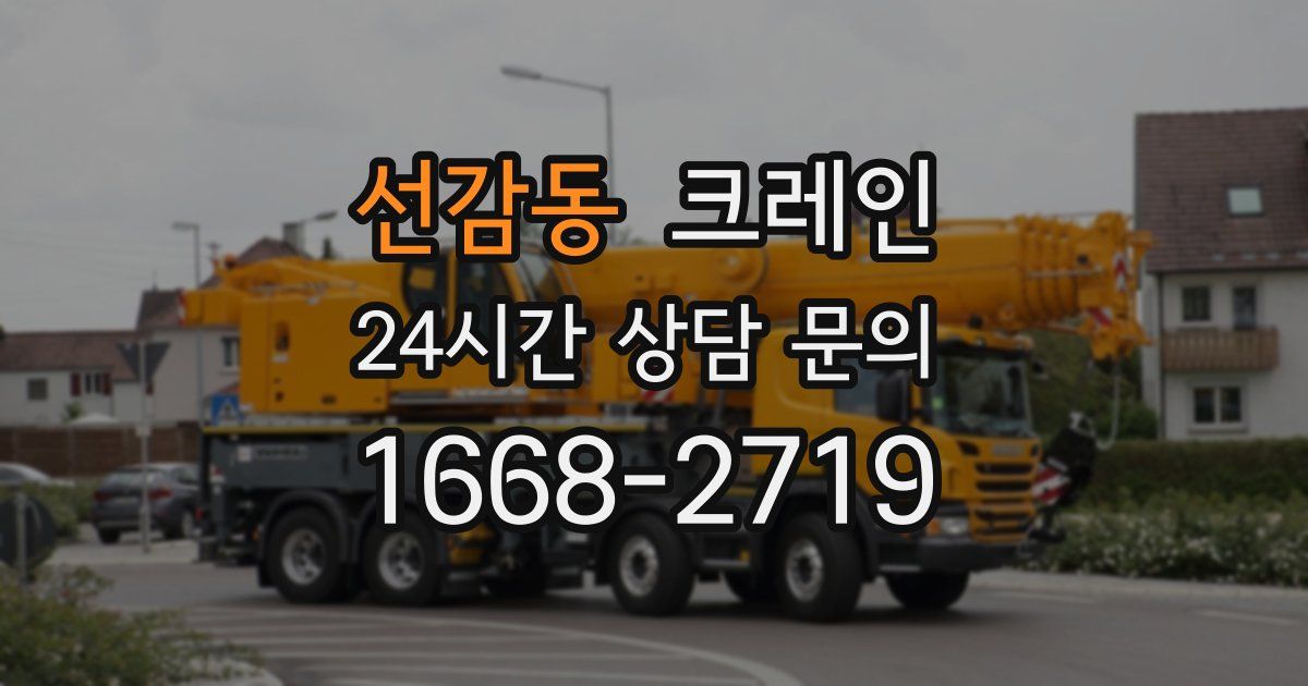 선감동 크레인