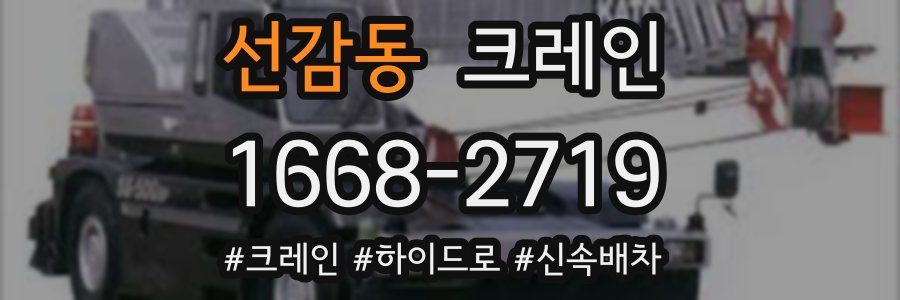 선감동 크레인 작업