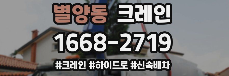 별양동 크레인 작업