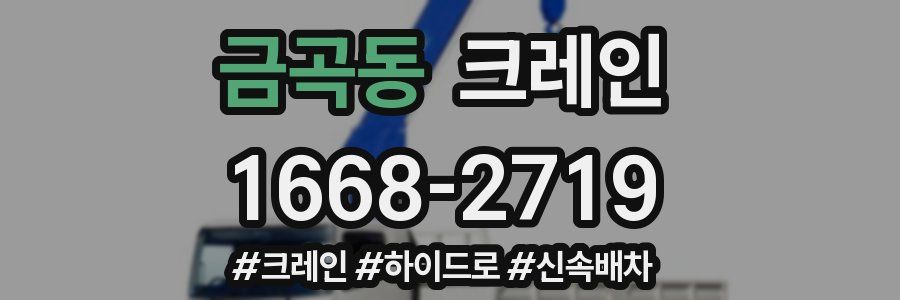 금곡동 크레인 작업