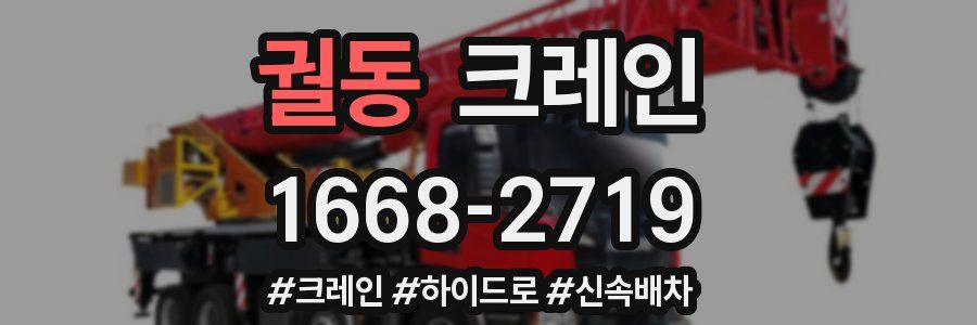 궐동 크레인 작업