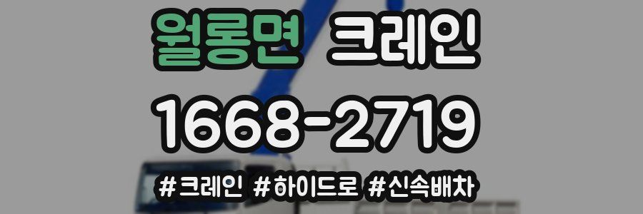 월롱면 크레인 작업